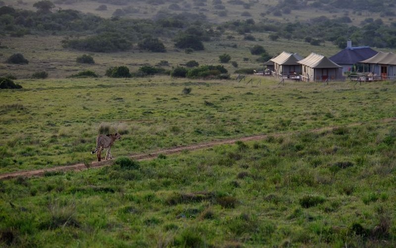 Hlosi  Lodge 22